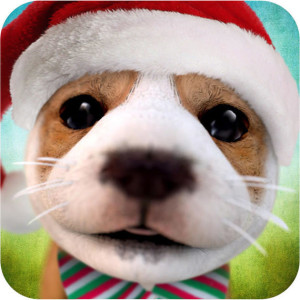 - Holiday Christmas Game App Icon 2015